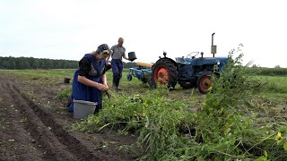 Uniek kijkje in Staphorster boerenleven [upl. by Attenaj257]