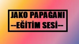 1 Saatlik Jako Papağanı Sesi [upl. by Ikim]