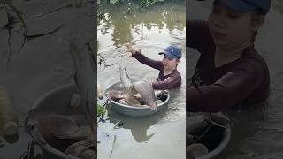 Amazing Fish Trapping Skills [upl. by Hijoung670]