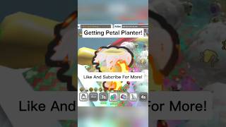 Getting The Petal Planter shortvideo shorts bss roblox gaming [upl. by Ahsienot]