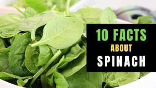 10 INTERESTING FACTS ABOUT SPINACH [upl. by Roskes]