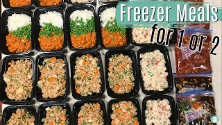 Freezer Meals for One or Two  MEAL PREP IDEAS [upl. by Enelec284]