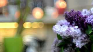 testing nikon defocus [upl. by Anilehs]