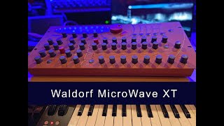 Waldorf MicroWave XT [upl. by Shela]