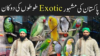 Most Exotic Birds Shop In Pakistan  MacawAmazonRingneck and talking parrots etc  Birds Market [upl. by Tlevesoor808]