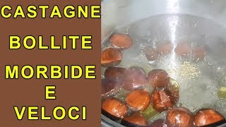 CASTAGNE BOLLITE MORBIDE SI SBUCCIANO FACILMENTE E VELOCEMENTE CASTAGNE LESSE [upl. by Biddle235]