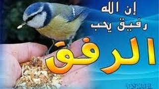 أناشيد الرفق لا يكون فى شئى إلا زانه [upl. by Enilraep888]