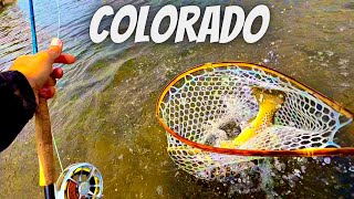 Why Locals DONT Want You to Know About This Spot Giant Brown Trout [upl. by Blondy]