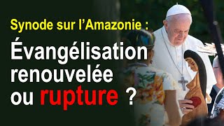 Évangélisation renouvelée ou rupture   Le Synode sur l’Amazonie [upl. by Clayborn]