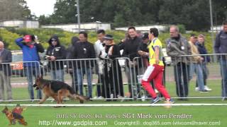 2015 SVBSZSJKL Rüden SG4 Mark vom Pendler [upl. by Qahsi]