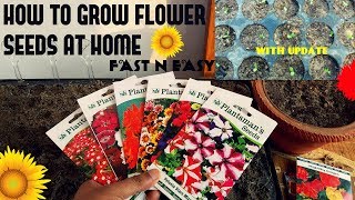 How To Grow Succulents From SeedPt 1 🌵  Angels Grove Gardening [upl. by Ramel607]