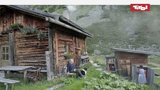 Leben auf der Alm  Almhütten in Tirol Österreich 🐮 [upl. by Rodolph]