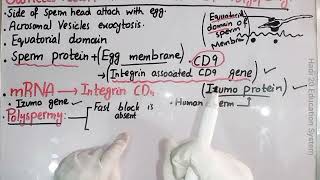 Gamete Fusion And Prevention Of Polyspermy  Ch 4  Lec No 16  Developmental Biology  BS Zoology [upl. by Naesad337]