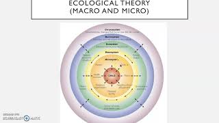 Bronfenbrenners Ecological Theory  explained [upl. by Lanuk9]