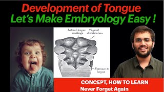 Development of Tongue  Embryology  Tongue Development Explanation How to Learn [upl. by Jehovah]