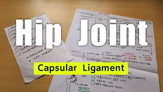 Hip Joint  Part 4  Capsular Ligament  Lower Limb Anatomy  The Charsi of Medical Literature [upl. by Fredella594]