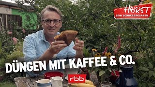 Dünger aus Kaffee Bananenschalen und mehr  Horst sein Schrebergarten [upl. by Queen92]