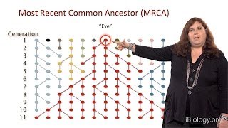 Sarah Tishkoff U Pennsylvania Part 1 African Genomics Human Evolution [upl. by Zoa]