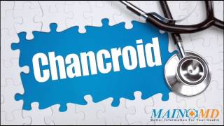 Chancroid ¦ Treatment and Symptoms [upl. by Vilberg]