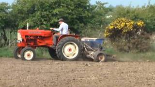 Allis Chalmers ED40 sowing bird feed [upl. by Aisauqal697]