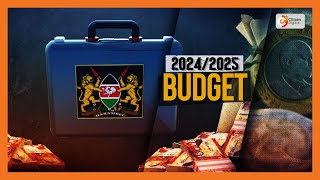 Budget 20242025  Key figures in the 20242025 fiscal budget [upl. by Oniuqa]