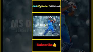 ధోనికి జెర్సీ Number 7 దొరికేది కాదు  factsmaavalite msdhoni thalaforareason dhoniforeverdhoni [upl. by Eidob]