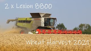 Thurlow Estate Farms  Spring Wheat Harvest 2021  Claas Lexion 8800 [upl. by Dahsraf]