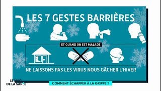 Grippe  comment léviter   Le Magazine de la santé [upl. by Akili]