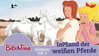 Bibi amp Tina  Im Land der weißen Pferde  1 Stunde Entspannung Teil 2 [upl. by Ssenav]