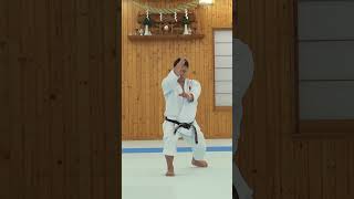 jitte 十手 karate kata [upl. by Amlas]