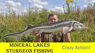 Mineral Lakes Crazy Carp and Sturgeon Fishing [upl. by Adiuqram991]