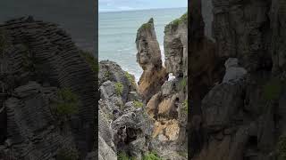 Pancake rocks punakaiki travel newzealandnature newzealand mountains nature newzealandtourism [upl. by Nodnol167]