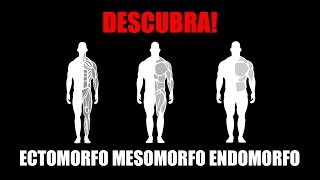 ECTOMORFO MESOMORFO E ENDOMORFO  ENTENDA OS SHAPES DE MAROMBA [upl. by Karmen]