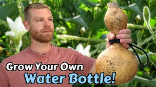 I Spent A Year Growing A Natural Water Bottle  Full Tutorial [upl. by Asilrac431]