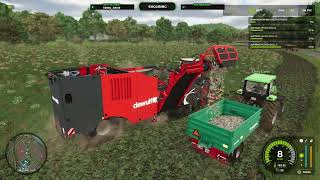 LS25 XXL Farm 004 Pastinaken Ernte  Farming Simulator 25 [upl. by Assir15]