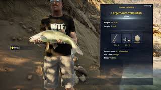 Finalllllllyyyyyyy Diamond Largemouth YellowFish [upl. by Nayrbo]