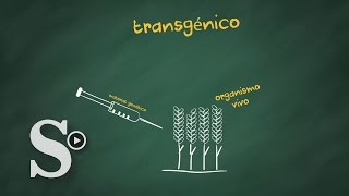 ¿De dónde salieron los transgénicos [upl. by Ettelracs]