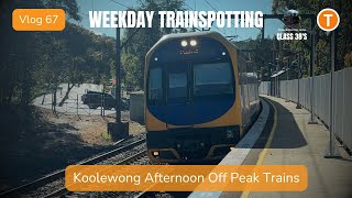 Rail Down Under Vlog 67  Koolewong Afternoon Off Peak Trains  Ft Class38 [upl. by Nepil]