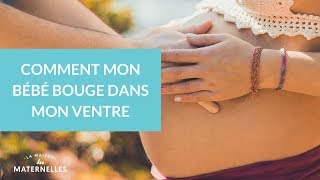 Comment mon bébé bouge dans mon ventre  La Maison des maternelles LMDM [upl. by Ardnuassac761]