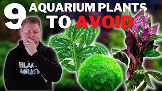 9 Plants to AVOID in your Aquarium  Beginner Aquarium Plant Guide [upl. by Schreck]