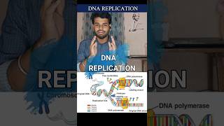 Dna replicationProkaryotesEukaryotestamilnotestypesdiagramsemiconservativecsir net [upl. by Nyltyak479]