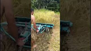 Paddy harvester machine [upl. by Vinnie]