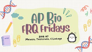 ✨AP Bio FRQ Friday 14 2016 7✨ Meiosis Test Cross amp Gene Linkage [upl. by Enelrihs514]