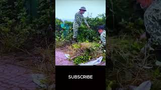 nature bushcraftfamily bushcraft funny outdoorskills realestate [upl. by Demah]