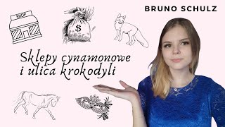 Sklepy cynamonowe i Ulica krokodyli  OMÓWIENIE TWÓRCZOŚCI BRUNO SCHULZA [upl. by Georgia334]