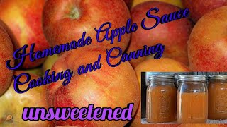 Homemade unsweetened applesauce  cooking and canning [upl. by Annaeerb]