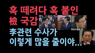 혹 떼려다 혹 붙인 이재명 관련 국감코나아이 배소현 부동산 등 새 이슈 부상 [upl. by Octavius]