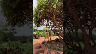 Matrimandir Pondicherry  Auroville Puducherry [upl. by Ydnirb]