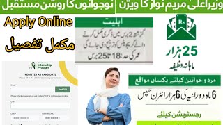 Government of Punjab Internship program apply online cmippunjabgovpk internshipviral1million [upl. by Serena]