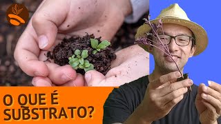 O que é SUBSTRATO para PLANTAS [upl. by Remmer399]